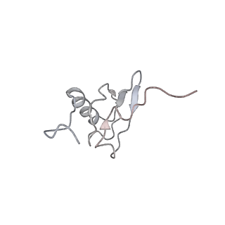 21631_6wdc_X_v1-3
Cryo-EM of elongating ribosome with EF-Tu*GTP elucidates tRNA proofreading (Cognate Structure IV-B)