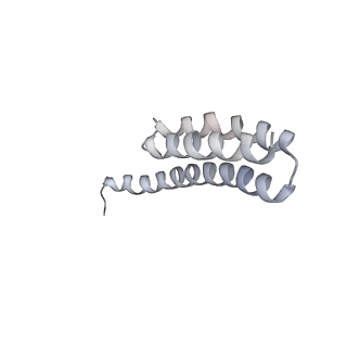 21631_6wdc_Y_v1-3
Cryo-EM of elongating ribosome with EF-Tu*GTP elucidates tRNA proofreading (Cognate Structure IV-B)