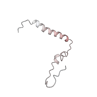 21631_6wdc_Z_v1-2
Cryo-EM of elongating ribosome with EF-Tu*GTP elucidates tRNA proofreading (Cognate Structure IV-B)