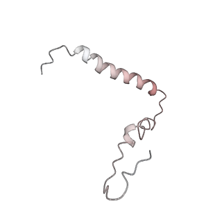 21631_6wdc_Z_v1-3
Cryo-EM of elongating ribosome with EF-Tu*GTP elucidates tRNA proofreading (Cognate Structure IV-B)