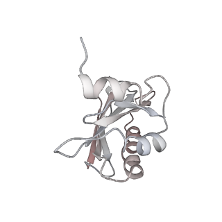 21631_6wdc_a_v1-2
Cryo-EM of elongating ribosome with EF-Tu*GTP elucidates tRNA proofreading (Cognate Structure IV-B)