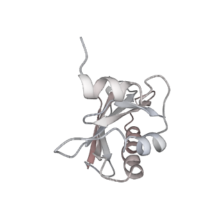 21631_6wdc_a_v1-3
Cryo-EM of elongating ribosome with EF-Tu*GTP elucidates tRNA proofreading (Cognate Structure IV-B)