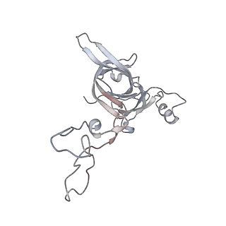 21631_6wdc_c_v1-2
Cryo-EM of elongating ribosome with EF-Tu*GTP elucidates tRNA proofreading (Cognate Structure IV-B)