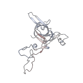 21631_6wdc_c_v1-3
Cryo-EM of elongating ribosome with EF-Tu*GTP elucidates tRNA proofreading (Cognate Structure IV-B)