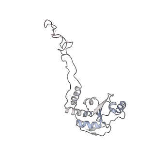 21631_6wdc_d_v1-2
Cryo-EM of elongating ribosome with EF-Tu*GTP elucidates tRNA proofreading (Cognate Structure IV-B)