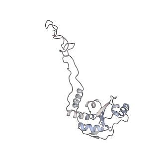 21631_6wdc_d_v1-3
Cryo-EM of elongating ribosome with EF-Tu*GTP elucidates tRNA proofreading (Cognate Structure IV-B)