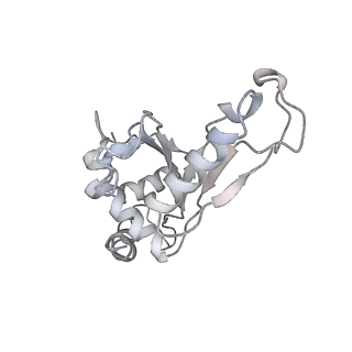 21631_6wdc_e_v1-2
Cryo-EM of elongating ribosome with EF-Tu*GTP elucidates tRNA proofreading (Cognate Structure IV-B)