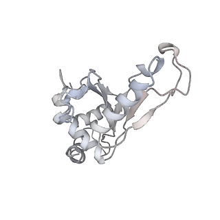 21631_6wdc_e_v1-3
Cryo-EM of elongating ribosome with EF-Tu*GTP elucidates tRNA proofreading (Cognate Structure IV-B)