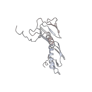 21631_6wdc_f_v1-2
Cryo-EM of elongating ribosome with EF-Tu*GTP elucidates tRNA proofreading (Cognate Structure IV-B)