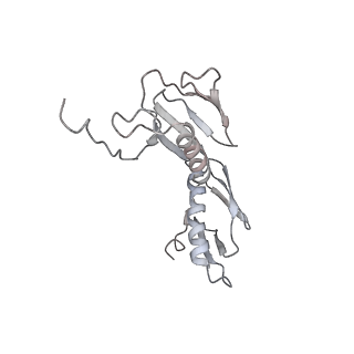 21631_6wdc_f_v1-3
Cryo-EM of elongating ribosome with EF-Tu*GTP elucidates tRNA proofreading (Cognate Structure IV-B)