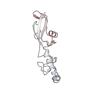 21631_6wdc_g_v1-2
Cryo-EM of elongating ribosome with EF-Tu*GTP elucidates tRNA proofreading (Cognate Structure IV-B)
