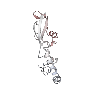 21631_6wdc_g_v1-3
Cryo-EM of elongating ribosome with EF-Tu*GTP elucidates tRNA proofreading (Cognate Structure IV-B)