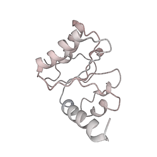 21631_6wdc_h_v1-2
Cryo-EM of elongating ribosome with EF-Tu*GTP elucidates tRNA proofreading (Cognate Structure IV-B)