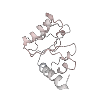 21631_6wdc_h_v1-3
Cryo-EM of elongating ribosome with EF-Tu*GTP elucidates tRNA proofreading (Cognate Structure IV-B)