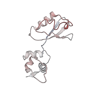 21631_6wdc_i_v1-3
Cryo-EM of elongating ribosome with EF-Tu*GTP elucidates tRNA proofreading (Cognate Structure IV-B)