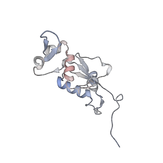 21631_6wdc_j_v1-2
Cryo-EM of elongating ribosome with EF-Tu*GTP elucidates tRNA proofreading (Cognate Structure IV-B)