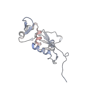 21631_6wdc_j_v1-3
Cryo-EM of elongating ribosome with EF-Tu*GTP elucidates tRNA proofreading (Cognate Structure IV-B)