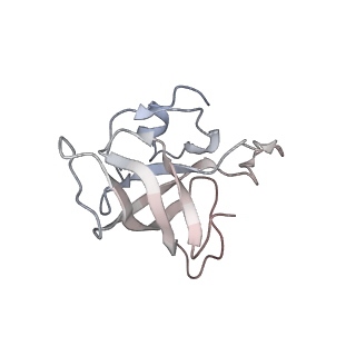 21631_6wdc_k_v1-2
Cryo-EM of elongating ribosome with EF-Tu*GTP elucidates tRNA proofreading (Cognate Structure IV-B)