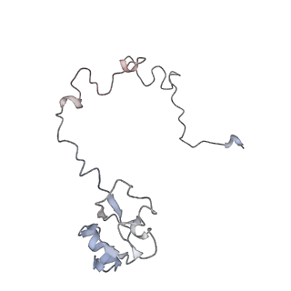 21631_6wdc_l_v1-2
Cryo-EM of elongating ribosome with EF-Tu*GTP elucidates tRNA proofreading (Cognate Structure IV-B)
