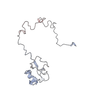 21631_6wdc_l_v1-3
Cryo-EM of elongating ribosome with EF-Tu*GTP elucidates tRNA proofreading (Cognate Structure IV-B)