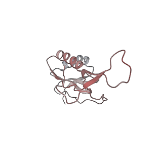 21631_6wdc_m_v1-2
Cryo-EM of elongating ribosome with EF-Tu*GTP elucidates tRNA proofreading (Cognate Structure IV-B)