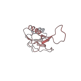 21631_6wdc_m_v1-3
Cryo-EM of elongating ribosome with EF-Tu*GTP elucidates tRNA proofreading (Cognate Structure IV-B)