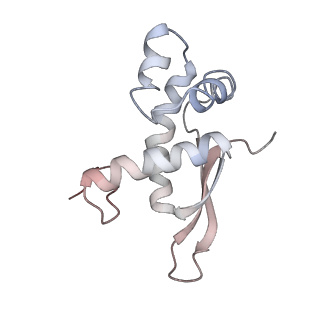 21631_6wdc_n_v1-2
Cryo-EM of elongating ribosome with EF-Tu*GTP elucidates tRNA proofreading (Cognate Structure IV-B)