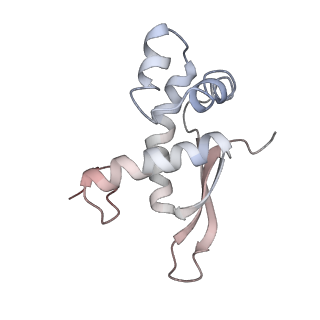 21631_6wdc_n_v1-3
Cryo-EM of elongating ribosome with EF-Tu*GTP elucidates tRNA proofreading (Cognate Structure IV-B)