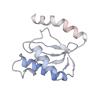 21631_6wdc_o_v1-2
Cryo-EM of elongating ribosome with EF-Tu*GTP elucidates tRNA proofreading (Cognate Structure IV-B)