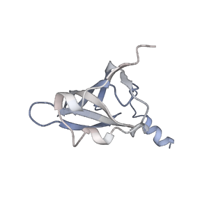 21631_6wdc_p_v1-2
Cryo-EM of elongating ribosome with EF-Tu*GTP elucidates tRNA proofreading (Cognate Structure IV-B)