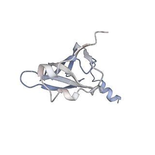 21631_6wdc_p_v1-3
Cryo-EM of elongating ribosome with EF-Tu*GTP elucidates tRNA proofreading (Cognate Structure IV-B)