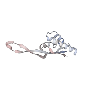 21631_6wdc_s_v1-2
Cryo-EM of elongating ribosome with EF-Tu*GTP elucidates tRNA proofreading (Cognate Structure IV-B)