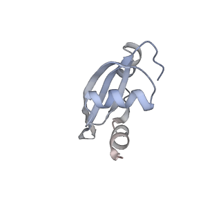 21631_6wdc_t_v1-2
Cryo-EM of elongating ribosome with EF-Tu*GTP elucidates tRNA proofreading (Cognate Structure IV-B)
