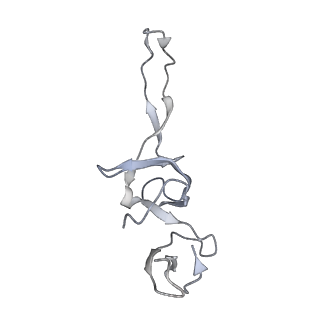 21631_6wdc_u_v1-2
Cryo-EM of elongating ribosome with EF-Tu*GTP elucidates tRNA proofreading (Cognate Structure IV-B)