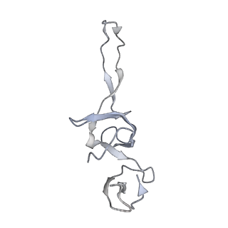 21631_6wdc_u_v1-3
Cryo-EM of elongating ribosome with EF-Tu*GTP elucidates tRNA proofreading (Cognate Structure IV-B)