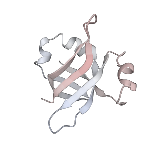 21631_6wdc_v_v1-2
Cryo-EM of elongating ribosome with EF-Tu*GTP elucidates tRNA proofreading (Cognate Structure IV-B)