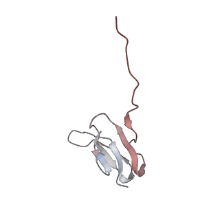 21631_6wdc_w_v1-2
Cryo-EM of elongating ribosome with EF-Tu*GTP elucidates tRNA proofreading (Cognate Structure IV-B)