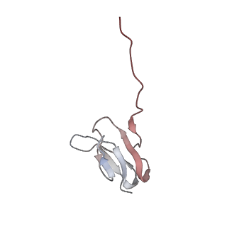 21631_6wdc_w_v1-3
Cryo-EM of elongating ribosome with EF-Tu*GTP elucidates tRNA proofreading (Cognate Structure IV-B)