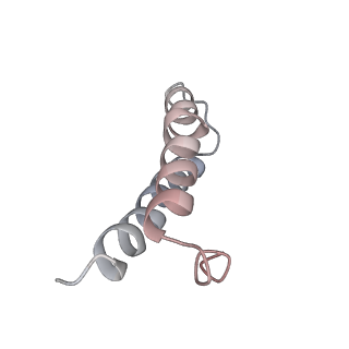 21631_6wdc_y_v1-3
Cryo-EM of elongating ribosome with EF-Tu*GTP elucidates tRNA proofreading (Cognate Structure IV-B)