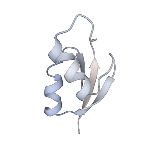 21631_6wdc_z_v1-3
Cryo-EM of elongating ribosome with EF-Tu*GTP elucidates tRNA proofreading (Cognate Structure IV-B)