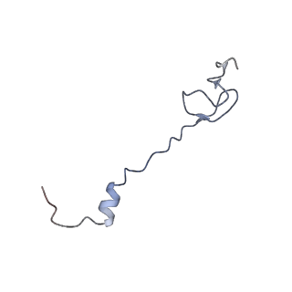 21632_6wdd_B_v1-2
Cryo-EM of elongating ribosome with EF-Tu*GTP elucidates tRNA proofreading (Cognate Structure V-A)
