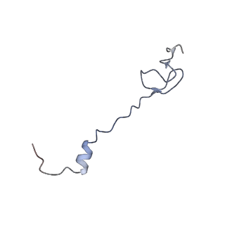 21632_6wdd_B_v1-3
Cryo-EM of elongating ribosome with EF-Tu*GTP elucidates tRNA proofreading (Cognate Structure V-A)