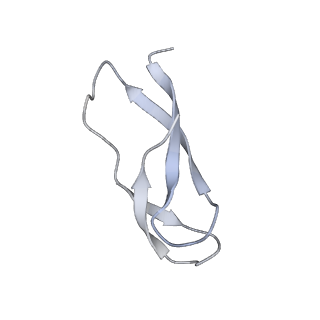 21632_6wdd_C_v1-2
Cryo-EM of elongating ribosome with EF-Tu*GTP elucidates tRNA proofreading (Cognate Structure V-A)