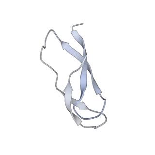 21632_6wdd_C_v1-3
Cryo-EM of elongating ribosome with EF-Tu*GTP elucidates tRNA proofreading (Cognate Structure V-A)