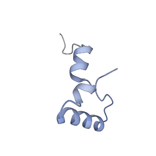 21632_6wdd_D_v1-2
Cryo-EM of elongating ribosome with EF-Tu*GTP elucidates tRNA proofreading (Cognate Structure V-A)
