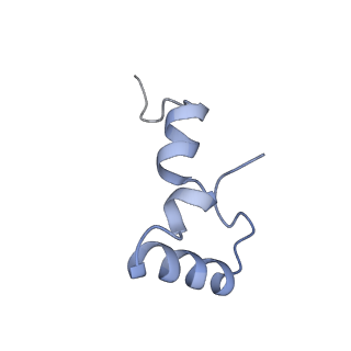 21632_6wdd_D_v1-3
Cryo-EM of elongating ribosome with EF-Tu*GTP elucidates tRNA proofreading (Cognate Structure V-A)