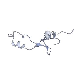 21632_6wdd_E_v1-2
Cryo-EM of elongating ribosome with EF-Tu*GTP elucidates tRNA proofreading (Cognate Structure V-A)