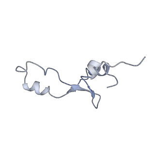 21632_6wdd_E_v1-3
Cryo-EM of elongating ribosome with EF-Tu*GTP elucidates tRNA proofreading (Cognate Structure V-A)