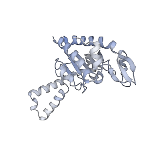 21632_6wdd_G_v1-2
Cryo-EM of elongating ribosome with EF-Tu*GTP elucidates tRNA proofreading (Cognate Structure V-A)