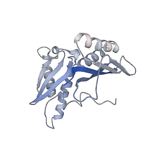 21632_6wdd_H_v1-2
Cryo-EM of elongating ribosome with EF-Tu*GTP elucidates tRNA proofreading (Cognate Structure V-A)